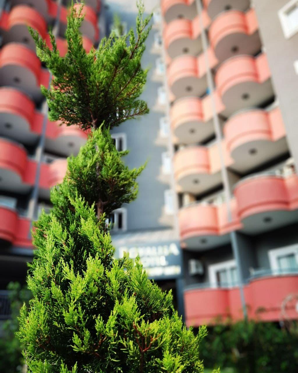 GRAND ALISA HOTEL