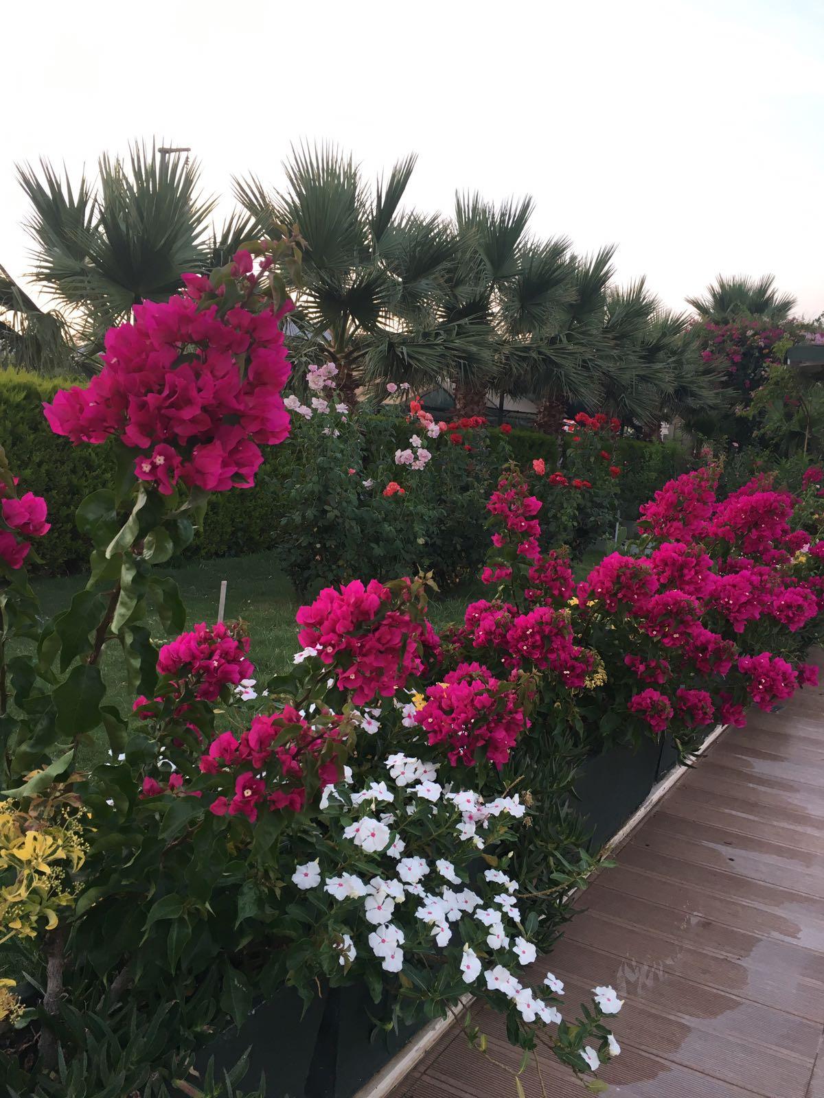 ANADOLU HOTEL BODRUM