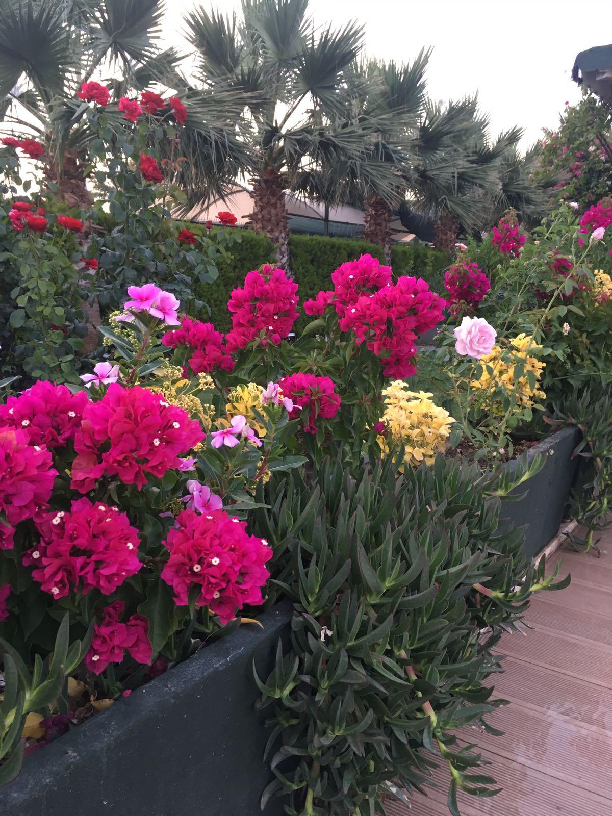 ANADOLU HOTEL BODRUM