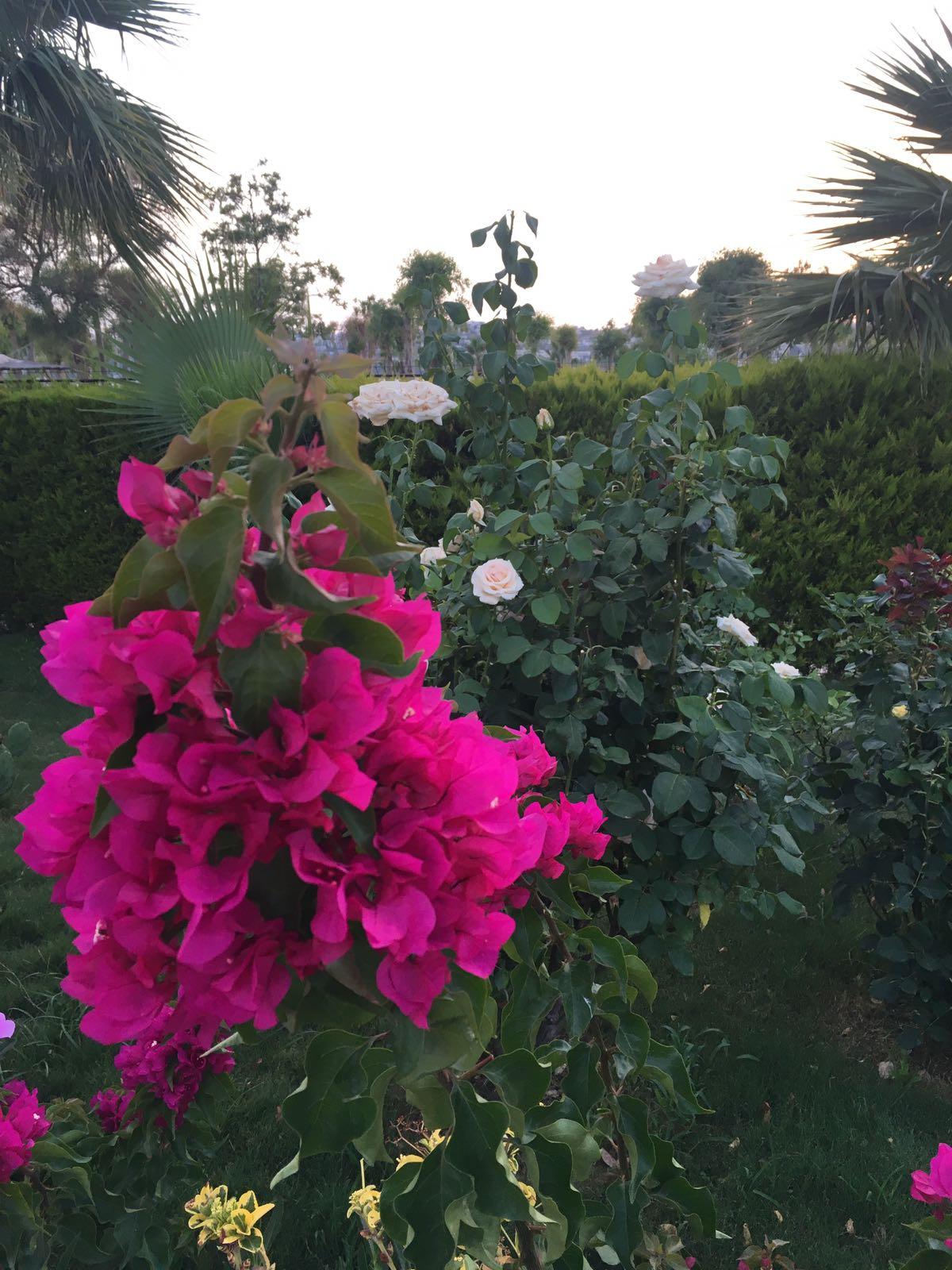 ANADOLU HOTEL BODRUM