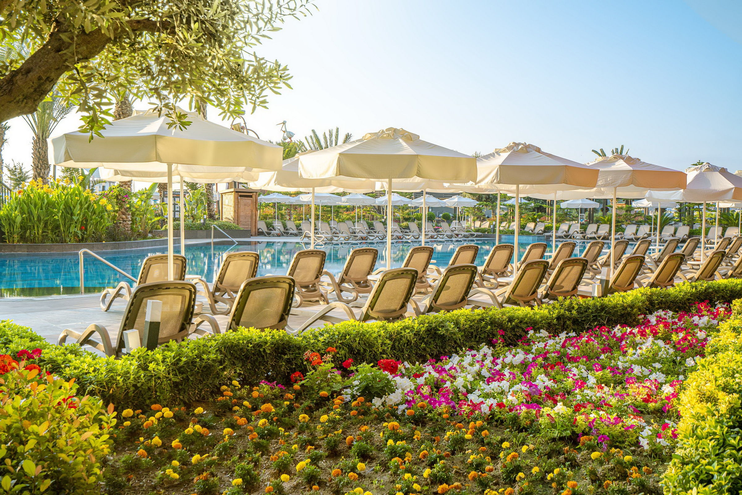KIRMAN PREMIUM CALYPTUS RESORT-SPA