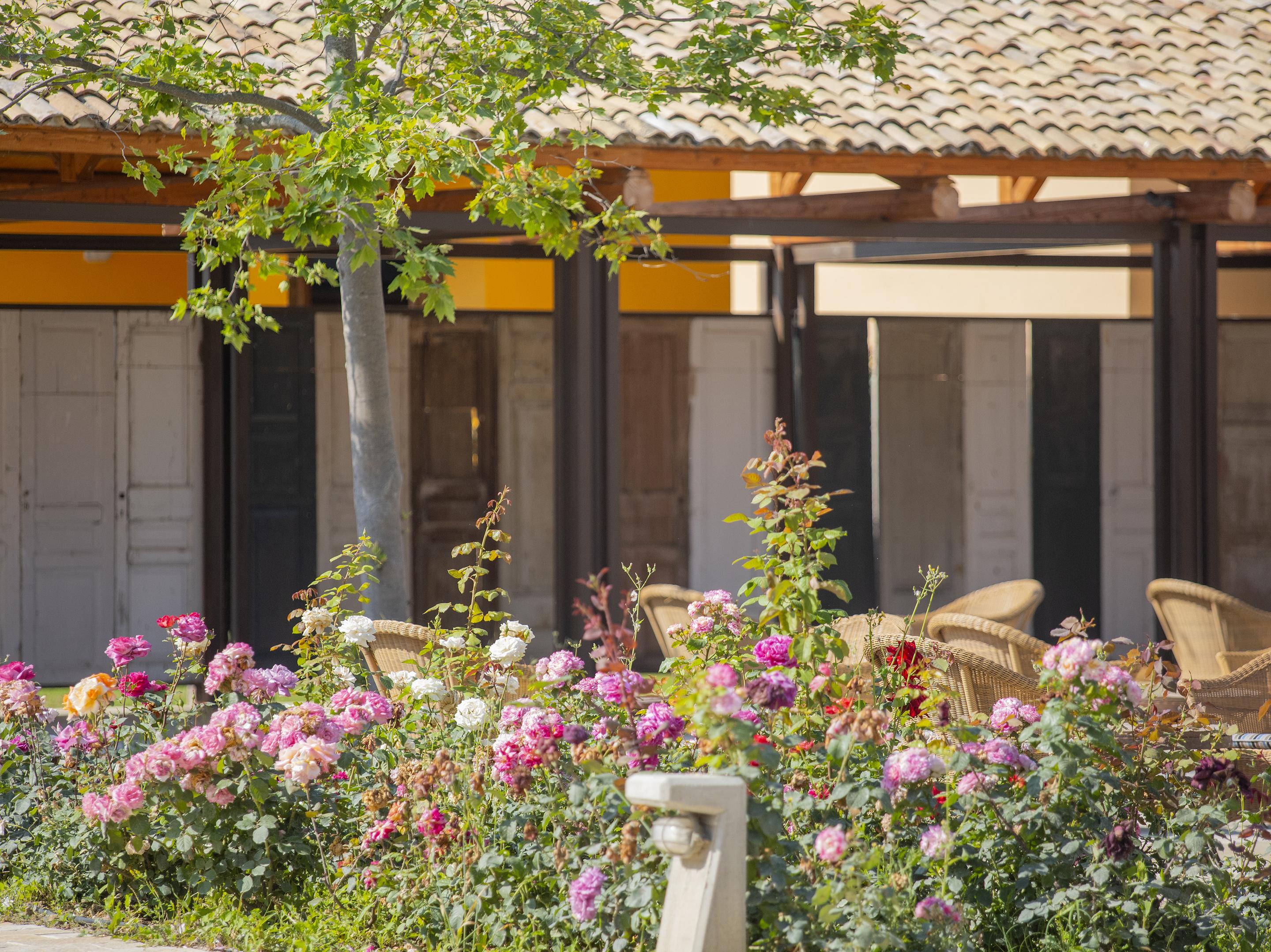GRECOTEL LUXME COSTA BOTANICA