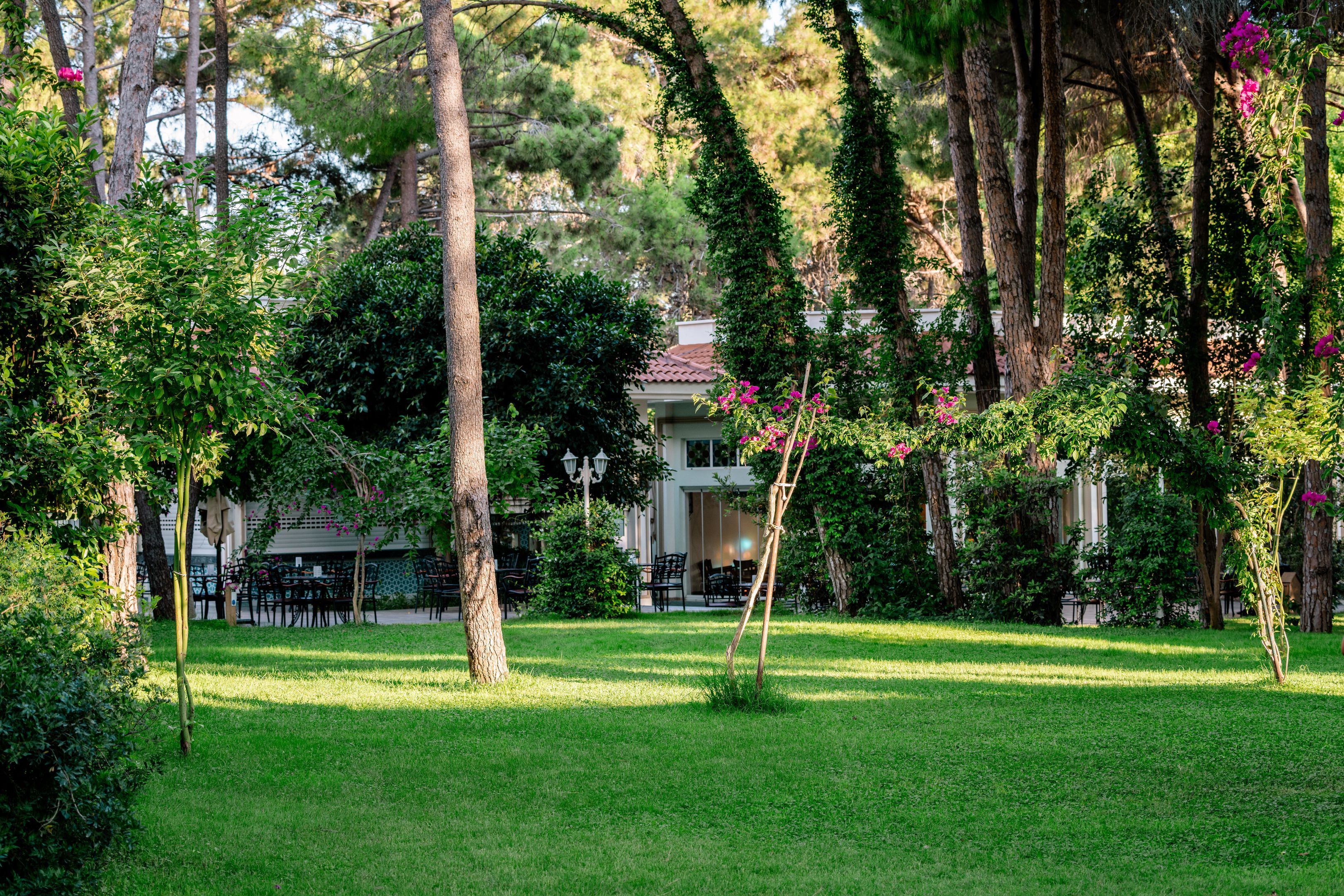ALI BEY RESORT