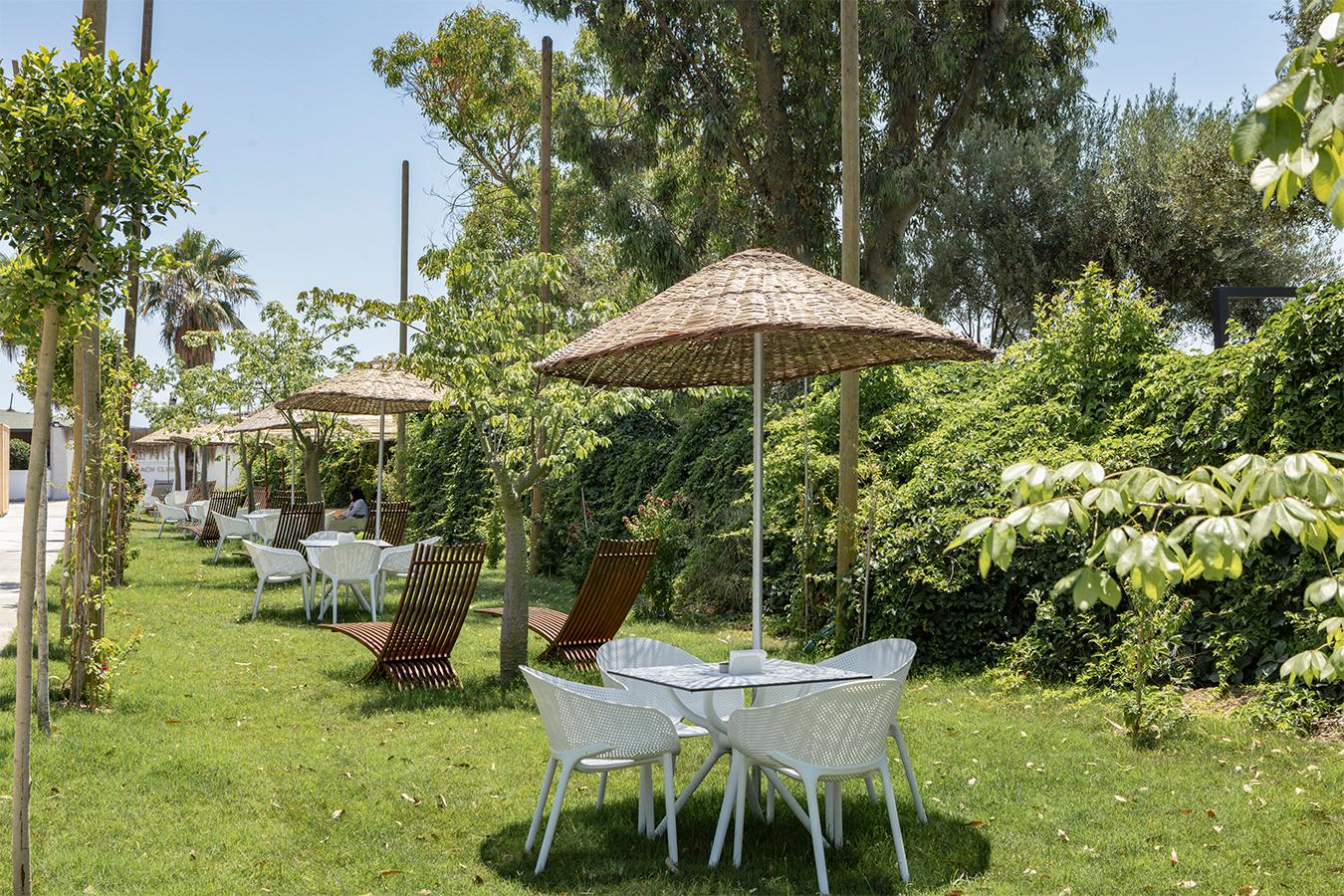 BERRY BLUE HOTEL