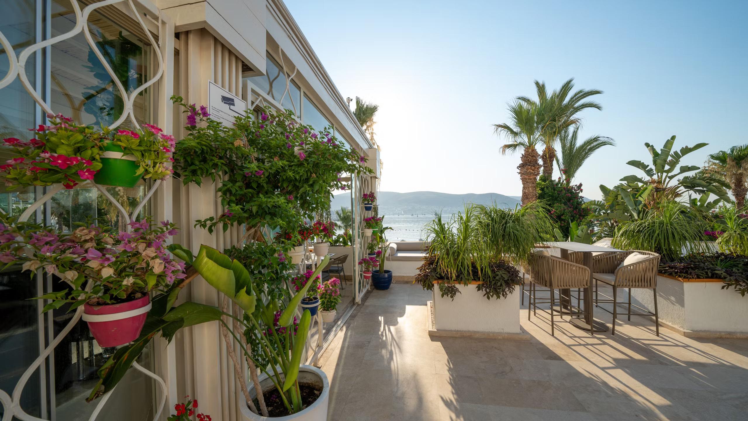 HOTEL AGAYA BODRUM ADULT ONLY (ex.PRIVE HOTEL BODRUM)