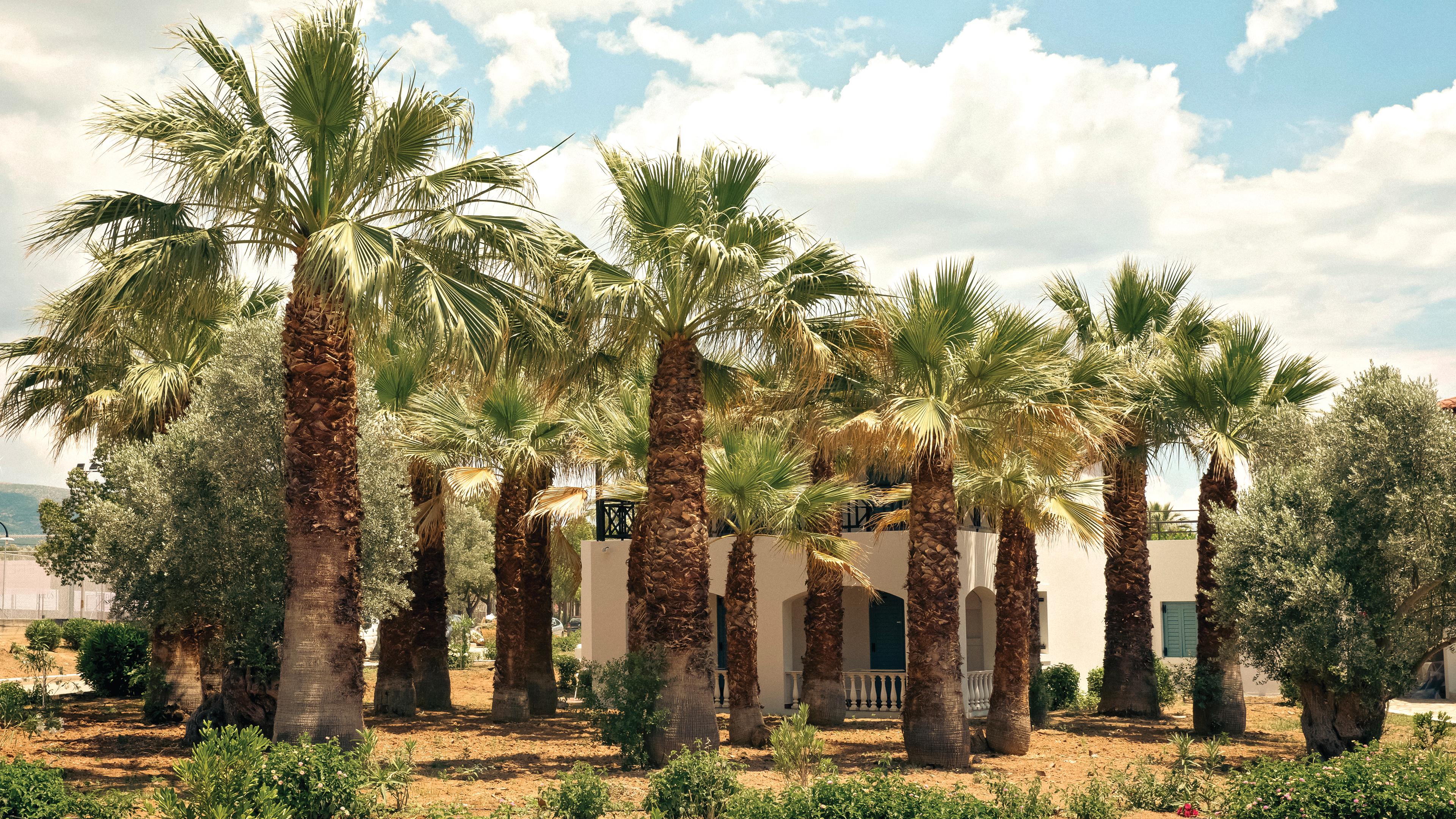 ERETRIA HOTEL - SPA RESORT