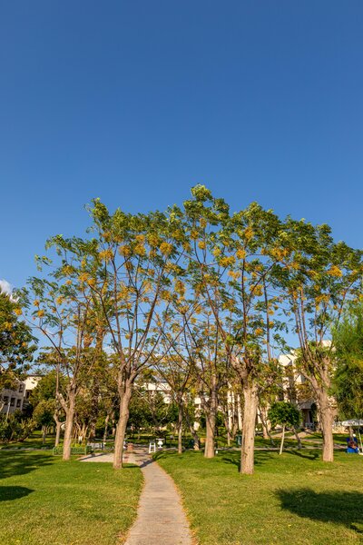 LABRANDA HOTEL ALANTUR