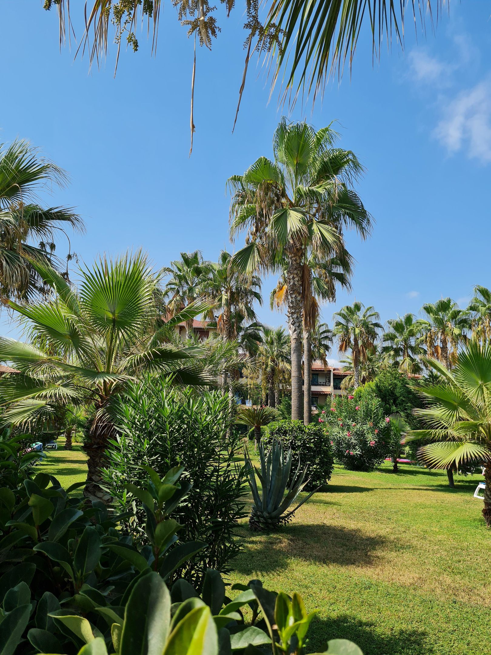 SAPHIR HOTEL-VILLAS