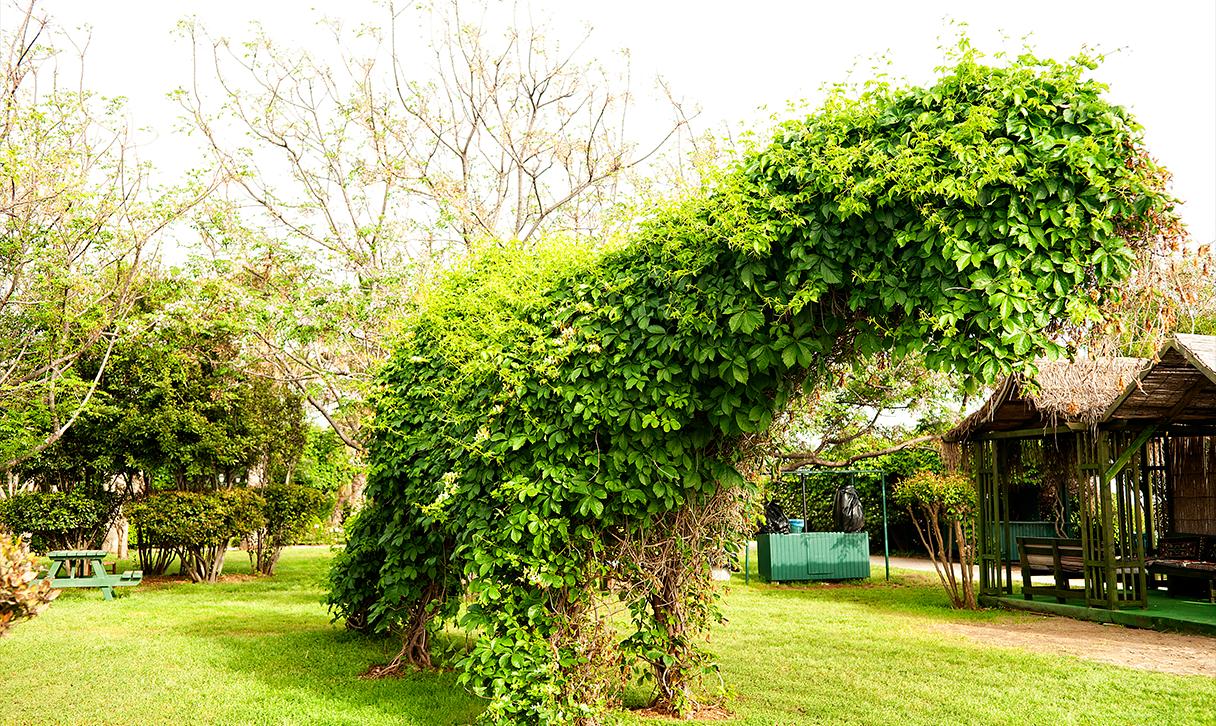 BELCONTI RESORT HOTEL