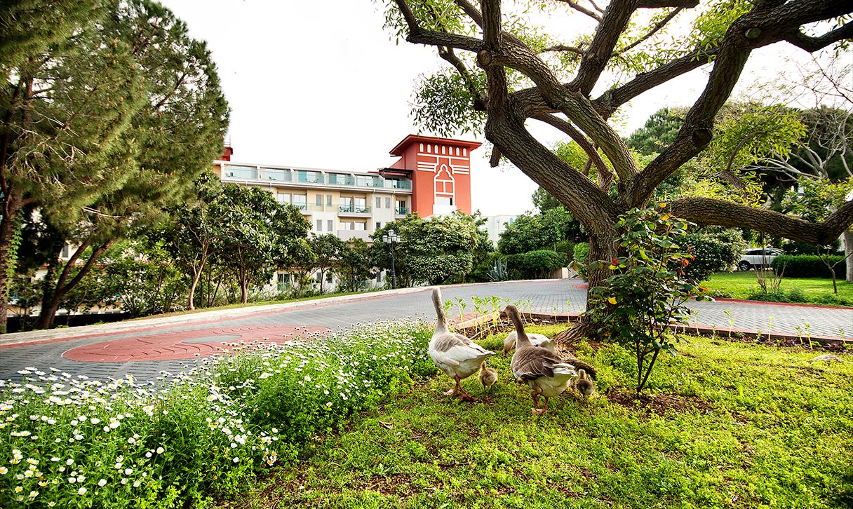 BELCONTI RESORT HOTEL