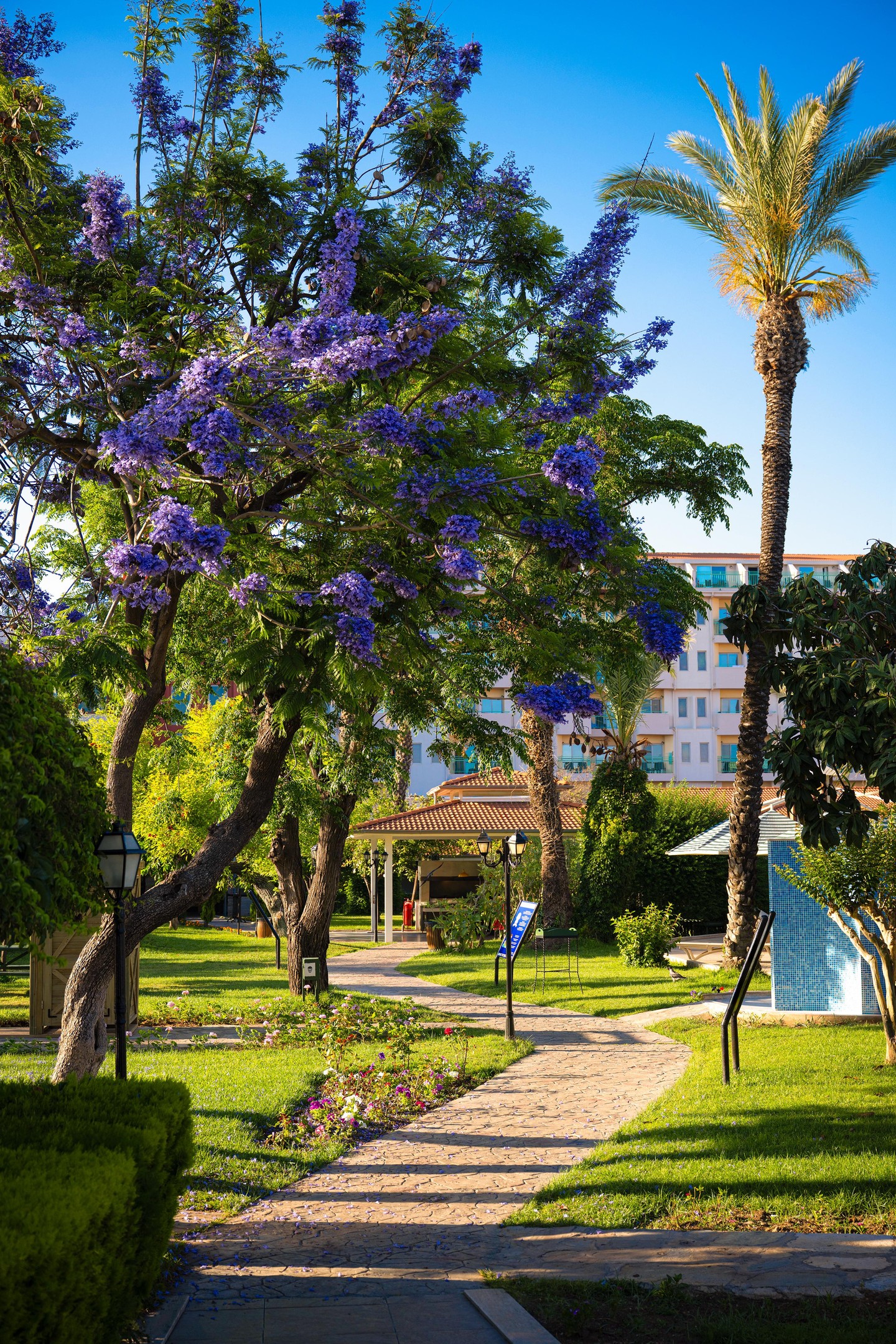 BELCONTI RESORT HOTEL