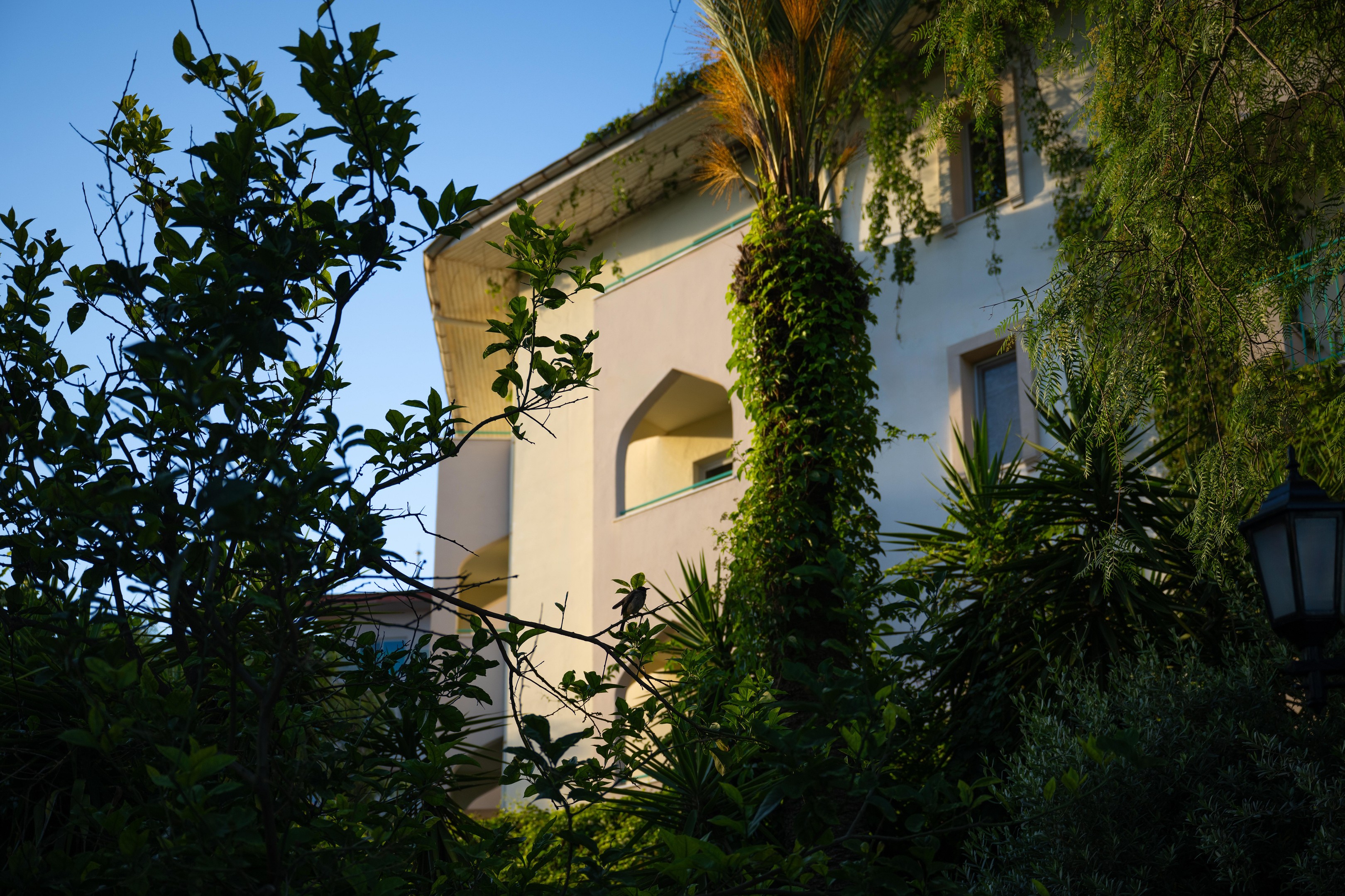 BELCONTI RESORT HOTEL