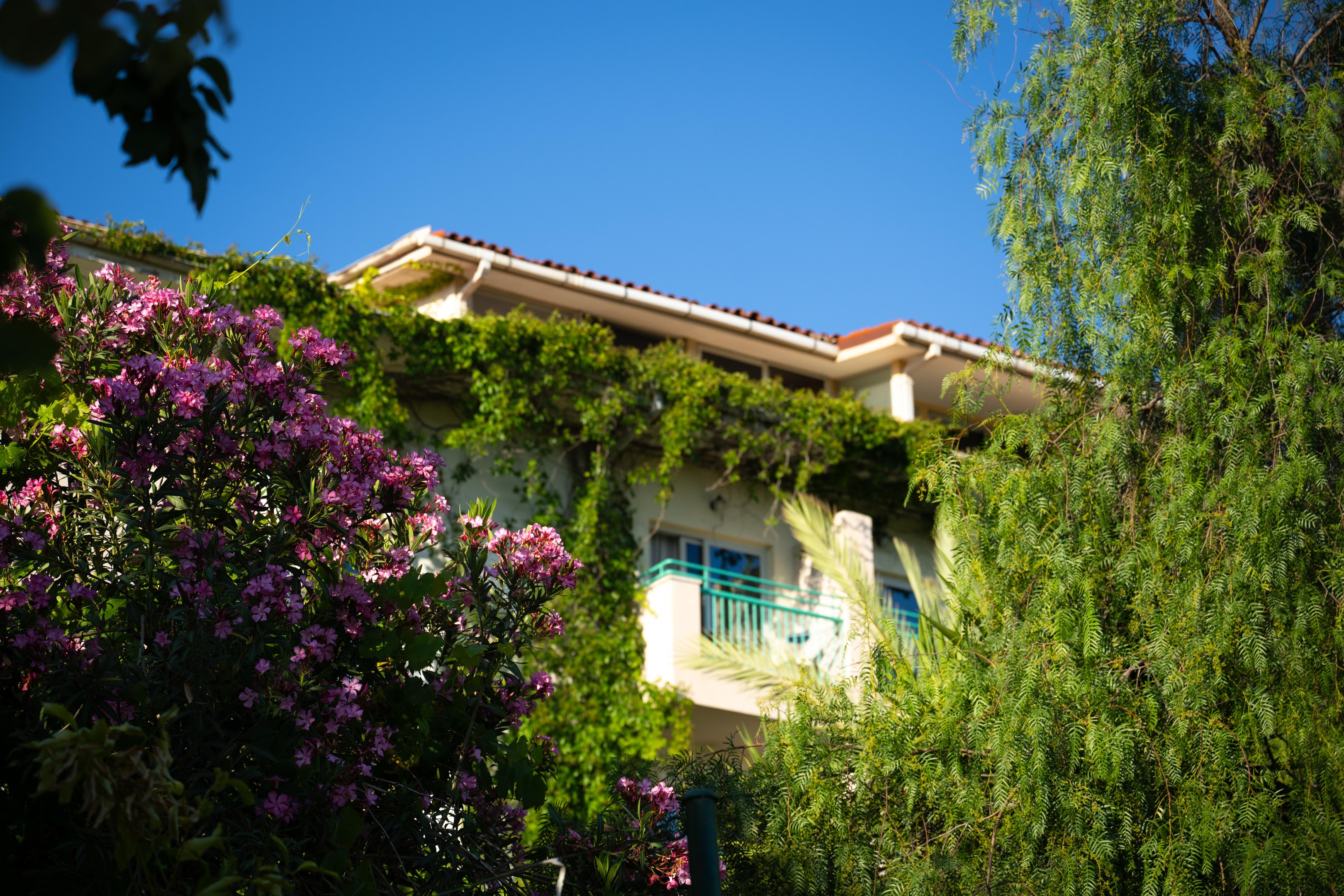 BELCONTI RESORT HOTEL