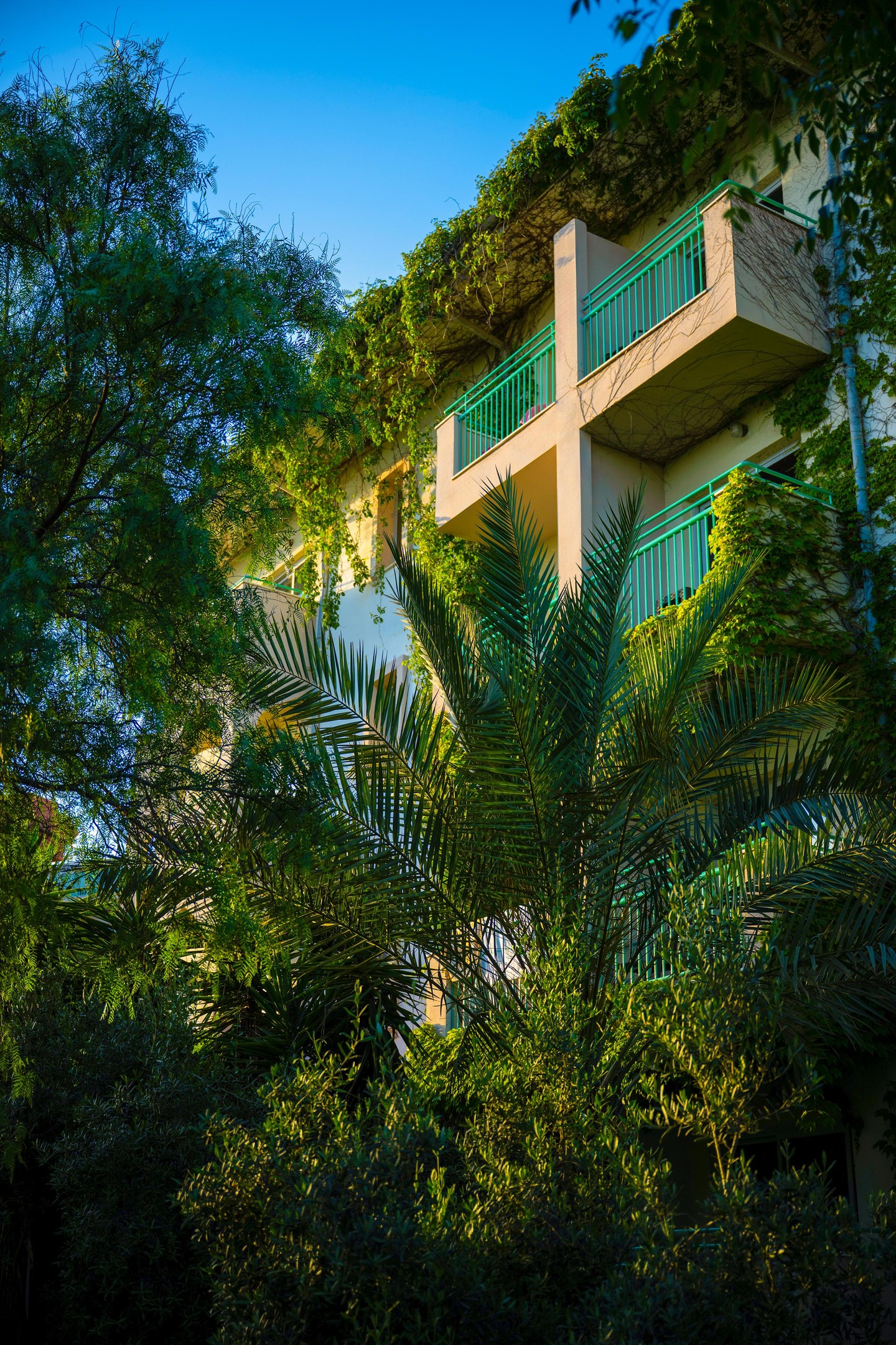 BELCONTI RESORT HOTEL