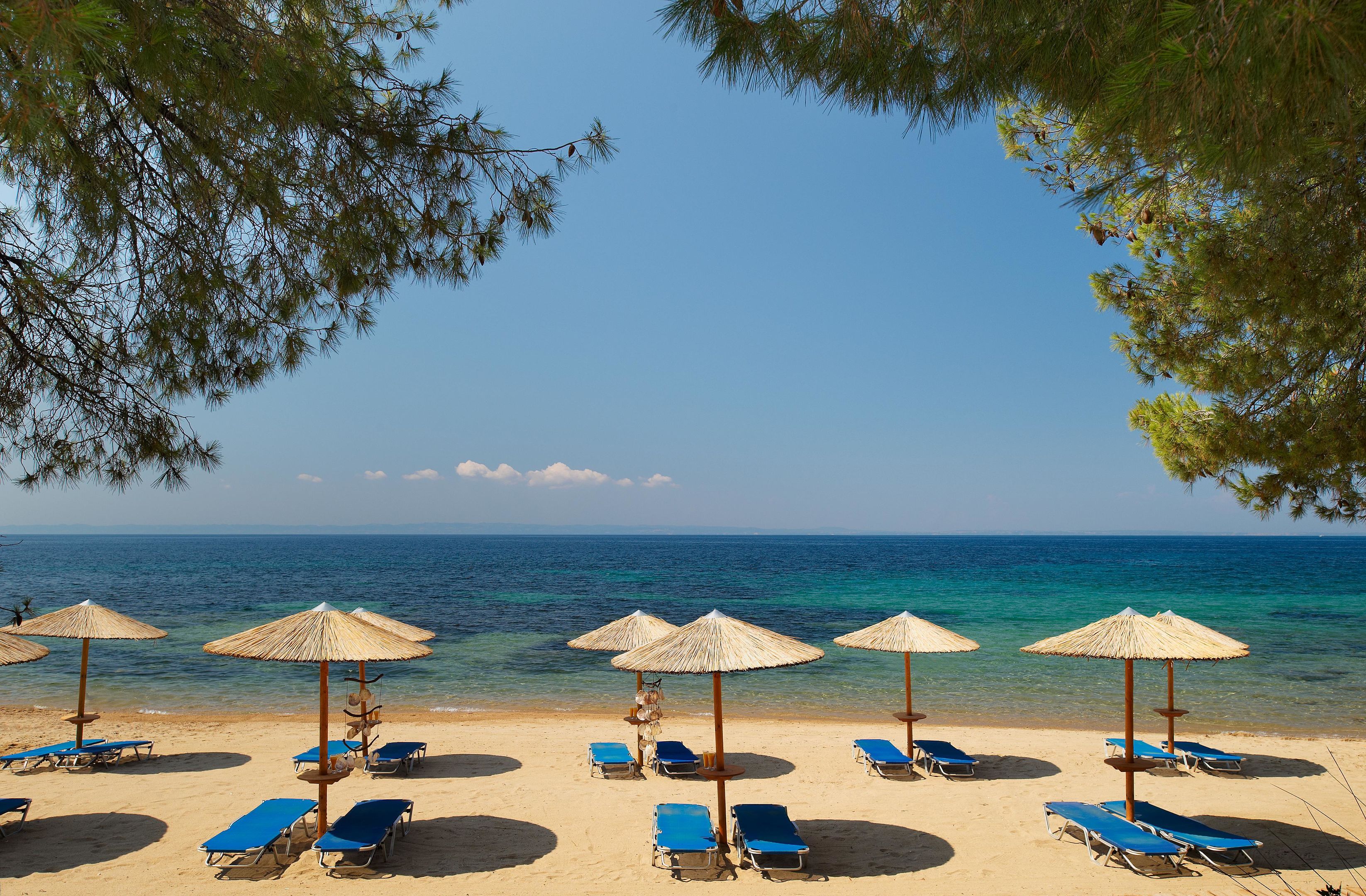 BLUE DOLPHIN HOTEL