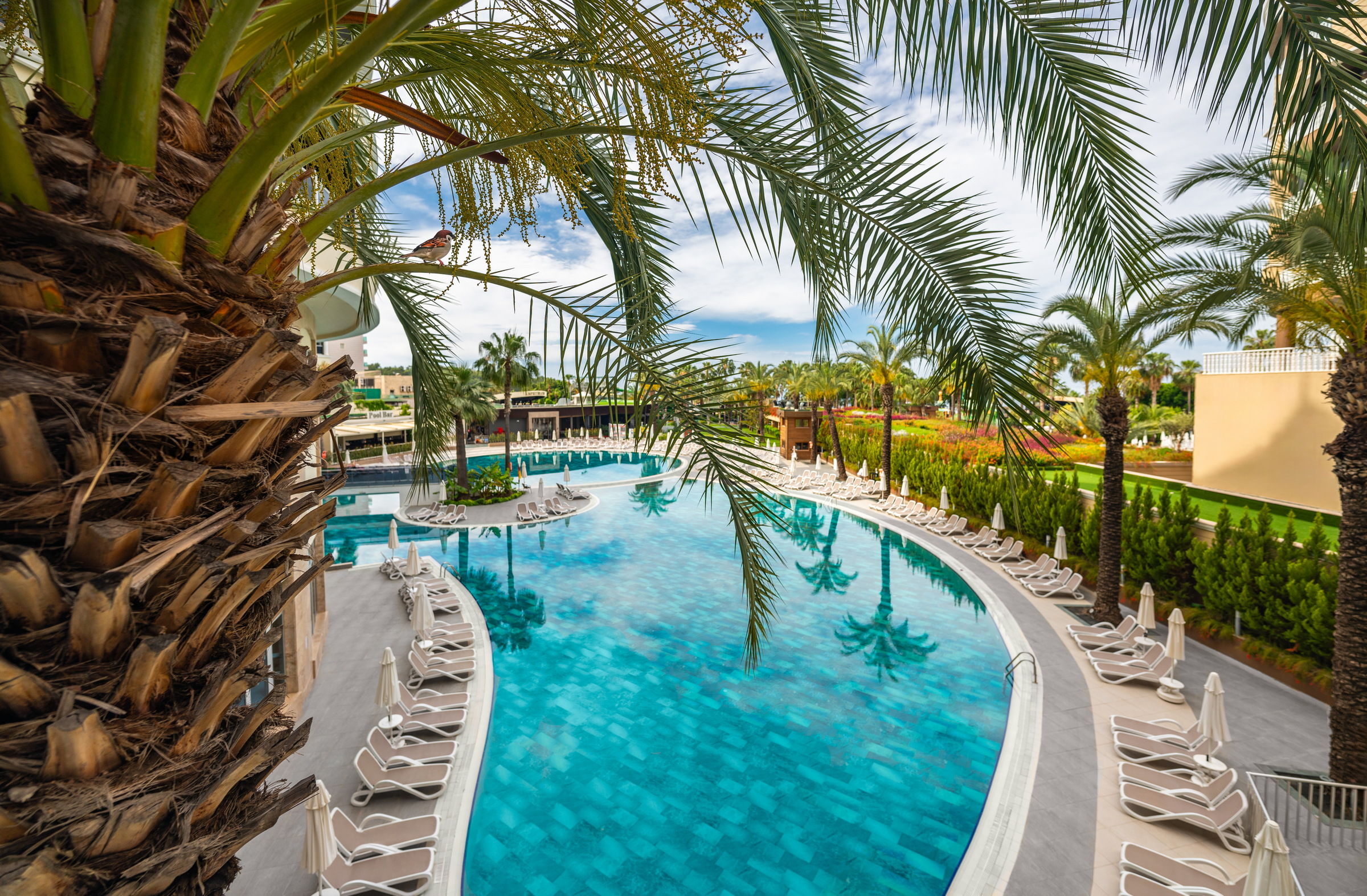 KIRMAN PREMIUM LEODIKYA RESORT