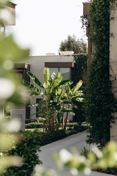 PALOMA ORENDA RESORT