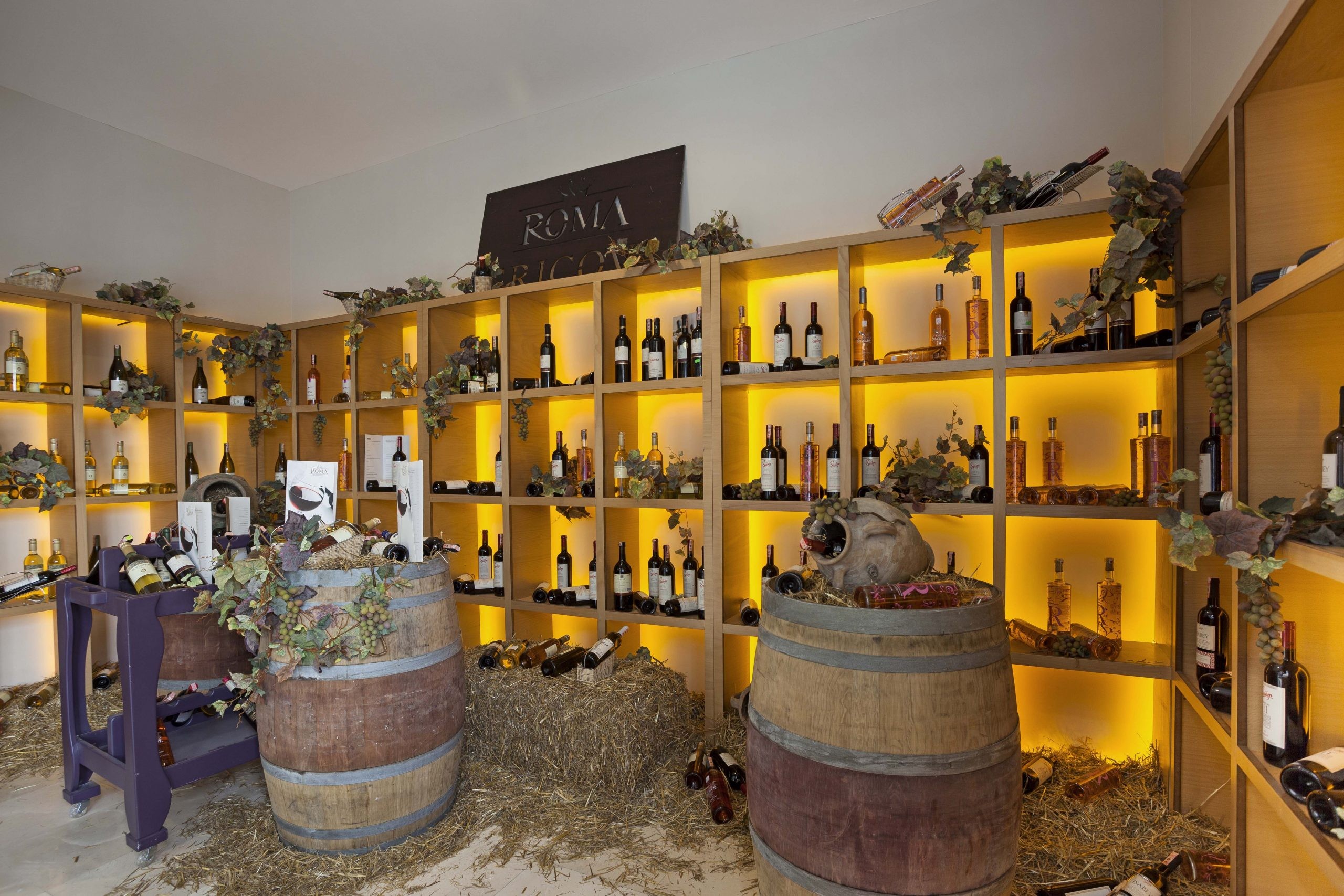 ROMA BEACH RESORT ADULT ONLT 16+