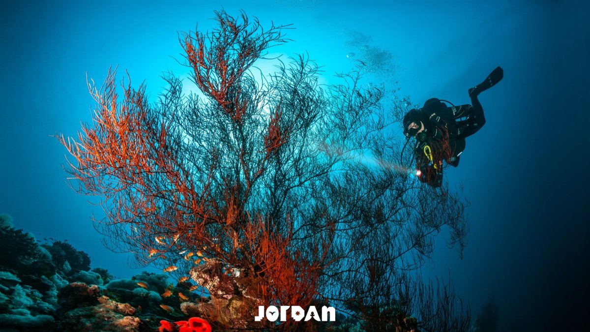 Почивка в Йордания, Червено море, Тала Бей - 7 нощувки - с включено посещение на Петра и Вади Рум - с директен полет от София!