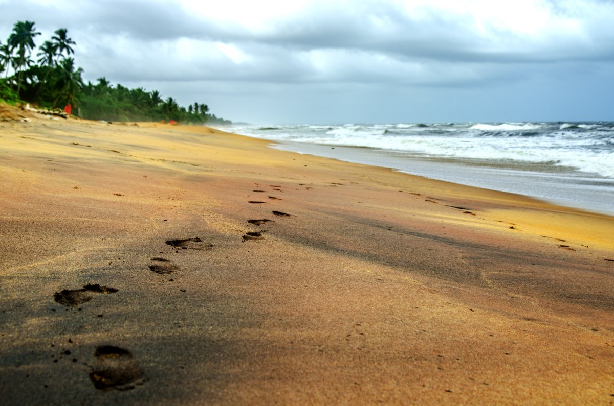 Екскурзия в ШРИ ЛАНКА - благословената земя, 7 нощувки, с водач от България!